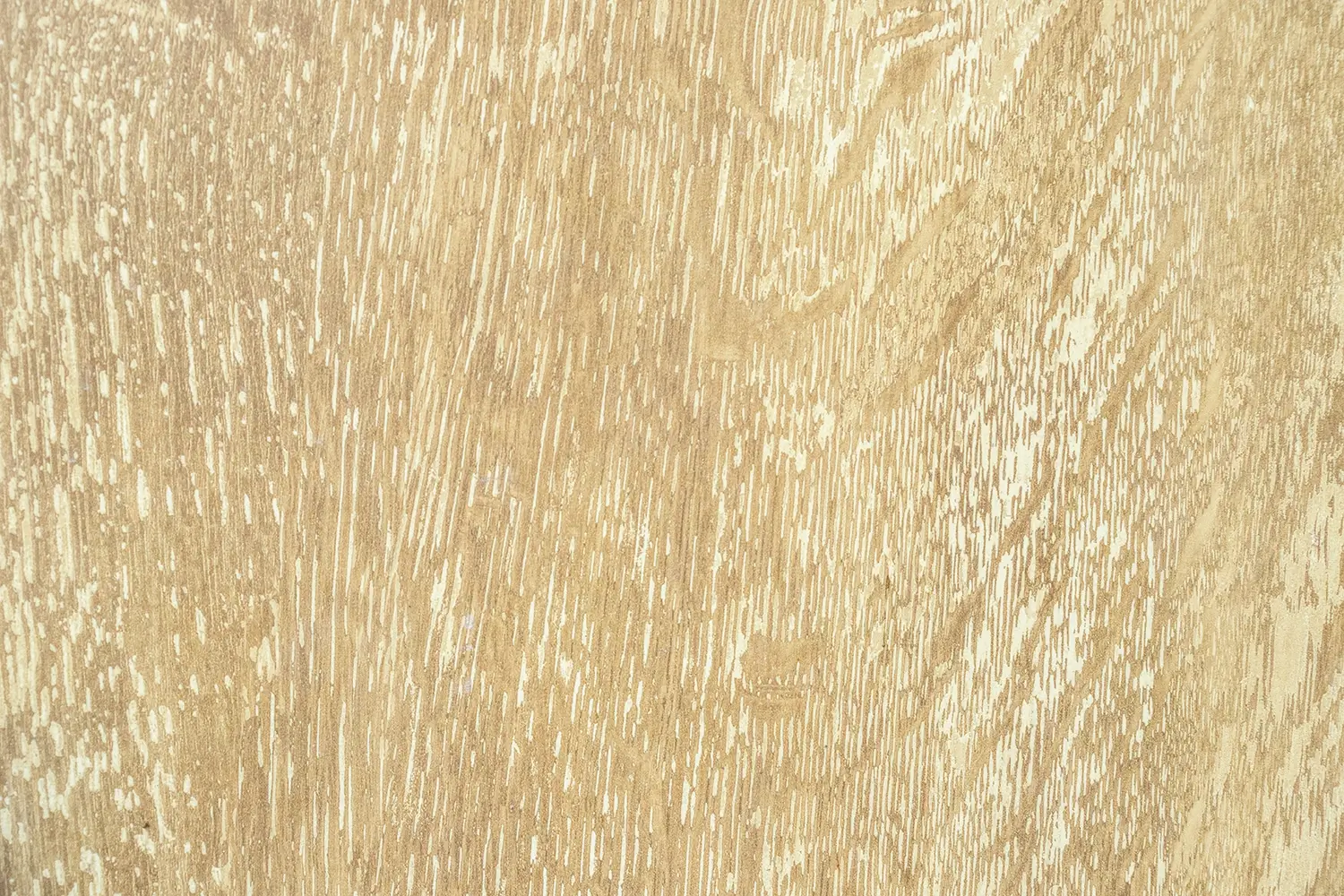 Fornir jesionowy jasny